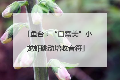 鱼台：“白富美”小龙虾跳动增收音符