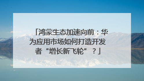 鸿蒙生态加速向前：华为应用市场如何打造开发者“增长新飞轮”？