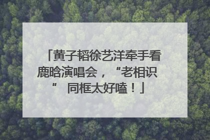 黄子韬徐艺洋牵手看鹿晗演唱会，“老相识” 同框太好嗑！