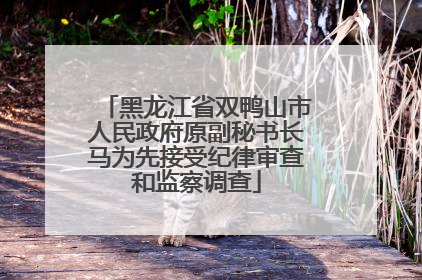 黑龙江省双鸭山市人民政府原副秘书长马为先接受纪律审查和监察调查