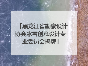 黑龙江省勘察设计协会冰雪创意设计专业委员会揭牌
