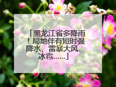 黑龙江省多降雨！局地伴有短时强降水、雷暴大风、冰雹……