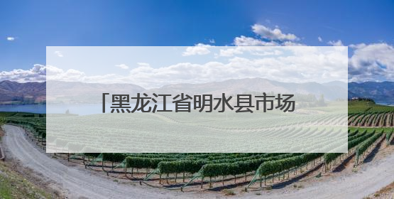 黑龙江省明水县市场监管局加强儿童公园游乐设施安全监管
