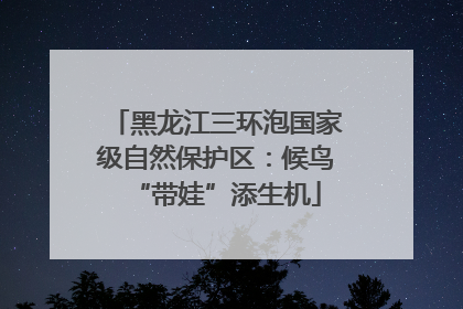 黑龙江三环泡国家级自然保护区：候鸟“带娃”添生机