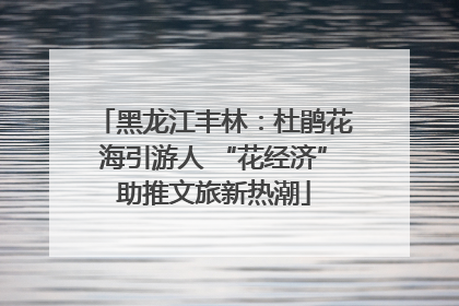 黑龙江丰林：杜鹃花海引游人 “花经济”助推文旅新热潮