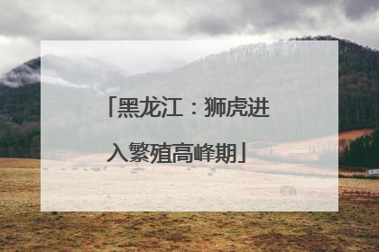 黑龙江：狮虎进入繁殖高峰期