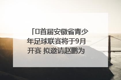 ﻿首届安徽省青少年足球联赛将于9月开赛 拟邀请赵鹏为先导赛开球