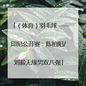 （体育）羽毛球——印尼公开赛：陈柏阳/刘毅无缘男双八强