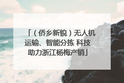 （侨乡新貌）无人机运输、智能分拣 科技助力浙江杨梅产销