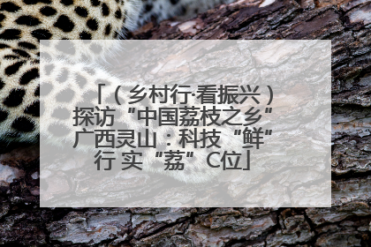 （乡村行·看振兴）探访“中国荔枝之乡”广西灵山：科技“鲜”行 实“荔”C位