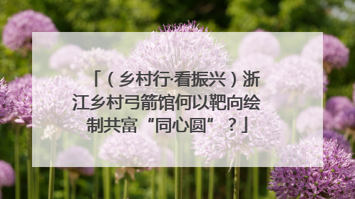（乡村行·看振兴）浙江乡村弓箭馆何以靶向绘制共富“同心圆”？