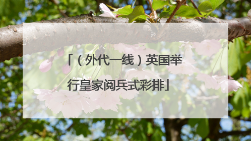 （外代一线）英国举行皇家阅兵式彩排