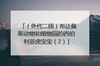 （外代二线）布达佩斯动物和植物园的西伯利亚虎宝宝（2）