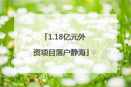 1.18亿元外资项目落户静海