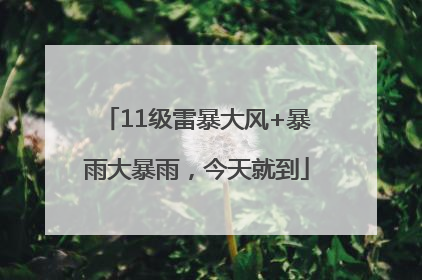 11级雷暴大风+暴雨大暴雨，今天就到