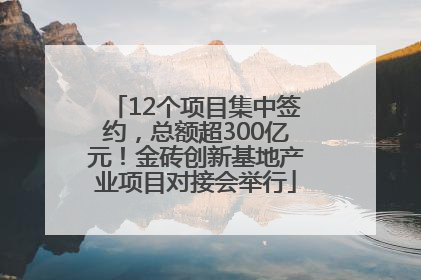 12个项目集中签约，总额超300亿元！金砖创新基地产业项目对接会举行
