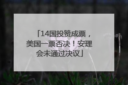 14国投赞成票，美国一票否决！安理会未通过决议