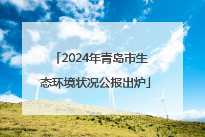 2024年青岛市生态环境状况公报出炉