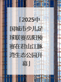 2025中国城市少儿足球联赛岳阳预赛在君山江豚湾生态公园开幕