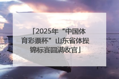 2025年“中国体育彩票杯”山东省体操锦标赛圆满收官