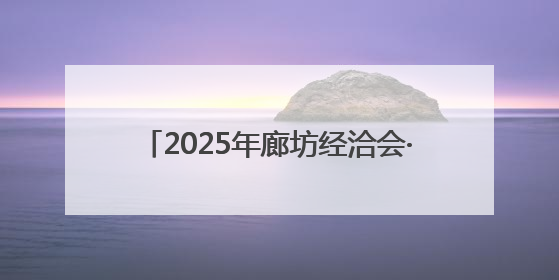 2025年廊坊经洽会·深度｜放大“会展+”乘数效应 打造消费新场景