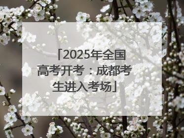 2025年全国高考开考：成都考生进入考场