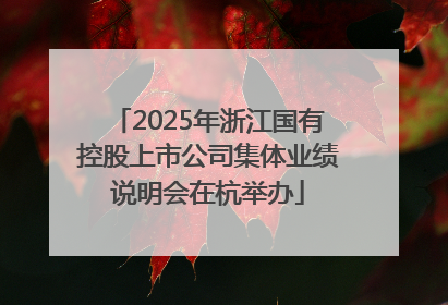 2025年浙江国有控股上市公司集体业绩说明会在杭举办