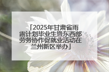 2025年甘肃省雨露计划毕业生暨东西部劳务协作促就业活动在兰州新区举办
