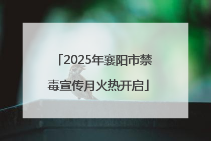 2025年襄阳市禁毒宣传月火热开启