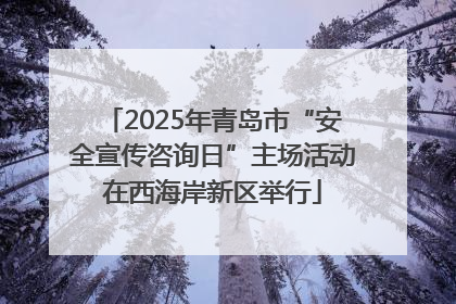 2025年青岛市“安全宣传咨询日”主场活动在西海岸新区举行