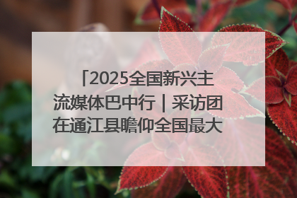 2025全国新兴主流媒体巴中行｜采访团在通江县瞻仰全国最大红军烈士陵园