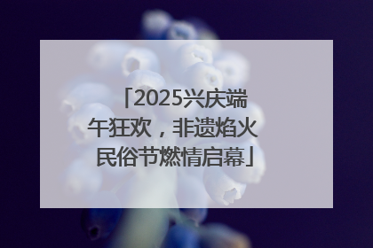 2025兴庆端午狂欢，非遗焰火民俗节燃情启幕