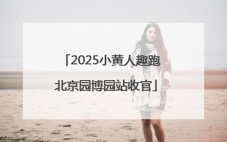 2025小黄人趣跑北京园博园站收官