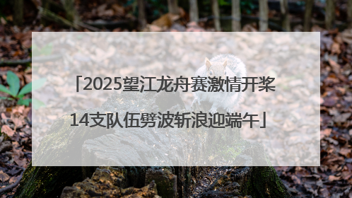 2025望江龙舟赛激情开桨 14支队伍劈波斩浪迎端午