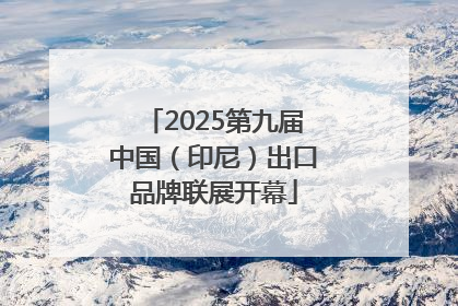 2025第九届中国（印尼）出口品牌联展开幕