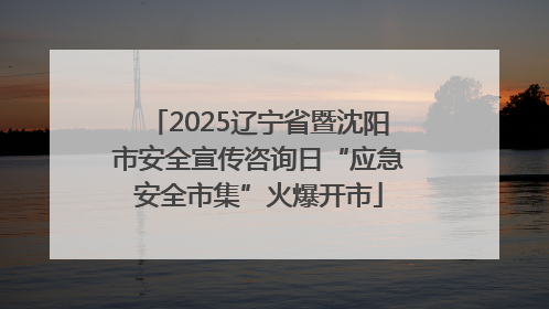 2025辽宁省暨沈阳市安全宣传咨询日“应急安全市集”火爆开市