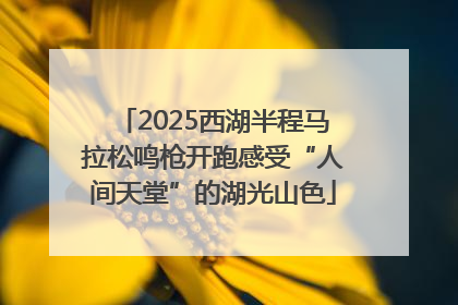 2025西湖半程马拉松鸣枪开跑感受“人间天堂”的湖光山色