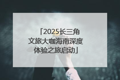 2025长三角文旅大咖海南深度体验之旅启动