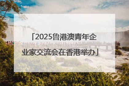 2025鲁港澳青年企业家交流会在香港举办