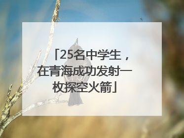 25名中学生，在青海成功发射一枚探空火箭