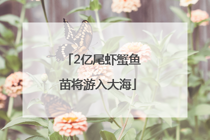 2亿尾虾蟹鱼苗将游入大海