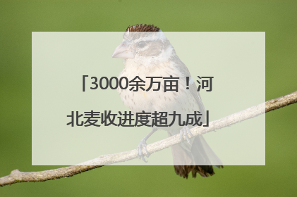 3000余万亩！河北麦收进度超九成