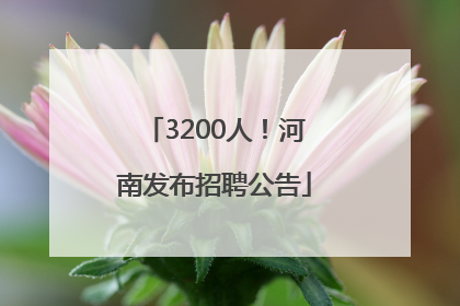 3200人！河南发布招聘公告