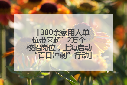 380余家用人单位带来超1.2万个校招岗位，上海启动“百日冲刺”行动