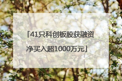 41只科创板股获融资净买入超1000万元