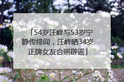 54岁汪峰与53岁宁静传绯闻，汪峰晒34岁正牌女友合照辟谣