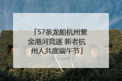 57条龙船杭州紫金港河竞逐 新老杭州人共度端午节