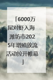6000万尾对虾入海 潍坊市2025年增殖放流活动拉开帷幕