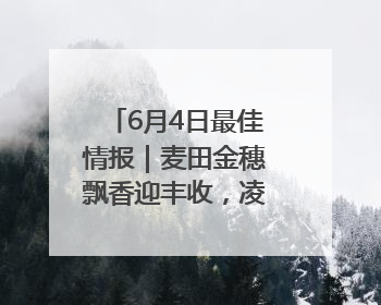 6月4日最佳情报｜麦田金穗飘香迎丰收，凌霄花开娇艳多姿！恭喜