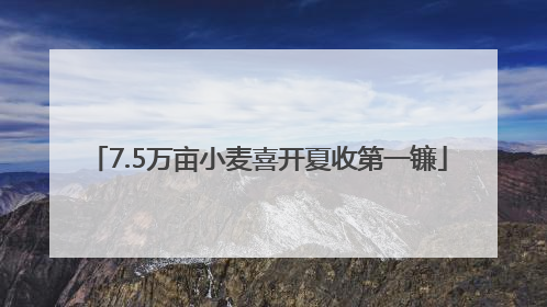 7.5万亩小麦喜开夏收第一镰